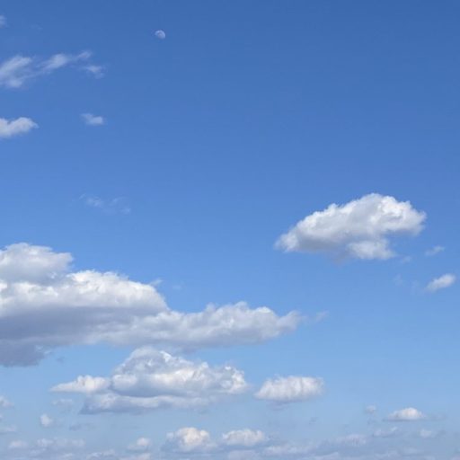 NULLヘアオイル⭐️俺は美容意識が高い！🙂清潔感と若々しさが命！情報収集は積極的に行う｜男性特有の髪の悩み｜